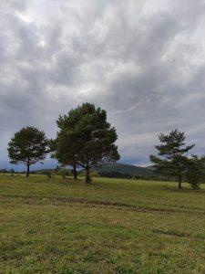 IMG_20220916_165843