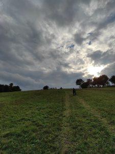 IMG_20220916_165848